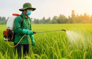 5 lưu ý khi sử dụng thuốc bảo vệ thực vật an toàn và hiệu quả